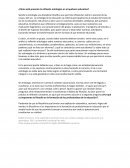 ¿Cómo está presente la reflexión ontologica en el quehacer educativo?