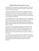 Observaciones en terreno en un consultorio particular