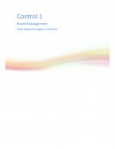 Análisis Técnicas de posicionamiento de Marca