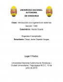 Esquemas Conceptuales de la Informatica