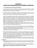 ASPECTOS DE ORGANIZACIÓN DE INGRESO A MERCADO
