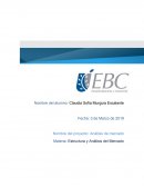 Estructura y Análisis del Mercado