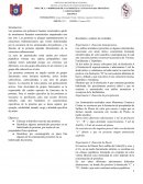 Areas politécnico biblioteca