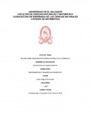 RESEÑA SOBRE PENSAMIENTO COMPUTACIONAL EN EL CURRÍCULO