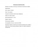 PROCESO DE INVESTIGACIÓN. Shampoo con keratina