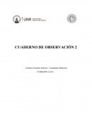 Informe de Observación en Terreno . Área de Pediatría, Lactancia, del Hospital Regional de Temuco