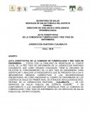 ACTA CONSTITUTIVA DE LA COMISION DE TUBERCULOSIS Y RED TAES EN ENFERMERIA