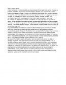 Ensayo del libro Bajo la misma estrella