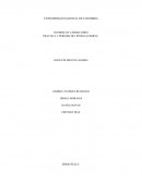 PRÁCTICA 3: PERIODO DEL PÉNDULO SIMPLE