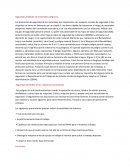 Seguridad alrededor de materiales peligrosos