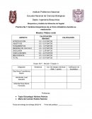 Practica No.1 Cambios bioquímicos de un fruto climatérico durante su maduración