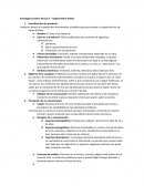 El alma al surrealismo