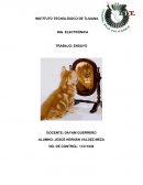 Desarollo El autoestima