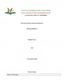 Proyectos de Intervención Socioeducativa Situación Didáctica