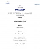 Propositos de la promocion