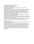 Actividad integradora 3. Investigar para argumentar. La sociología y la despenalización de drogas