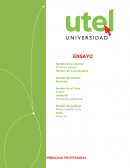 Desarrollo de la formación profesional y las competencias