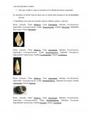 TALLER MUSEO TADEO