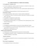 El Acompañamiento pastoral