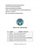 Ensayo de Motivación