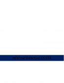 Informe Directivo Custo