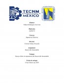 Ensayo Sobre la impotancia del Desarrollo Sustentable