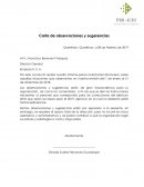 CARTA DE OBSERVACIONES Y SUGERENCIAS