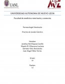 Farmacología Veterinaria Practica de Lavado Gástrico