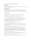 Actividad de Aprendizaje 4. Plan de marketing internacional