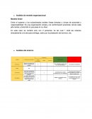 Analisis de modelo organizacional