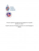 Procesos cognitivos de adquisición del lenguaje de un segundo idioma en los niños