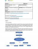 Ejercicio 1 Consumidor Meta