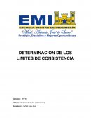 DETERMINACION DE LOS LIMITES DE CONSISTENCIA