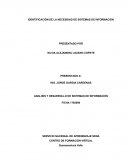 IDENTIFICACIÓN SISTEMAS DE INFORMACION