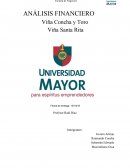 Analisis Financiero Viña Concha y Toro y Santa Rita