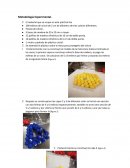 Metodología de celdas unitarias