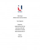 Reflexión sobre Cuestiones Morales Migración