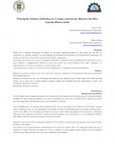 Principales baterías utilizadas en el campo automotriz, Baterías Ion litio, baterías Plomo Acido