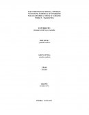 Guía de actividades y rúbrica de evaluación