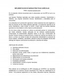 IMPLEMENTACION DE BUENAS PRÁCTICAS AGRÍCOLAS