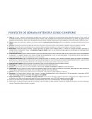 Proyecto curso intensivo objetivos