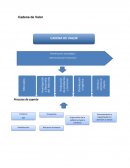 Cadena de valor y mapa de procesos