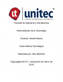Elaborar un informe de una página sobre un Caso de dos empresas fusionadas por tecnología