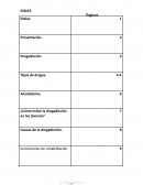 Revista sobre la drogadiccion