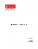 Pasos hacia una ecología de la mente: Una aproximación revolucionaria a la autocomprensión del hombre
