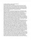 EL DERECHO PRIMITIVO: RASGOS CARACTERÍSTICOS