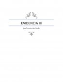 Psicologia positiva. Mi proposito de la vida