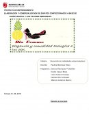 ELABORACION Y COMERCIALIZACION DE ZAPATOS CONFECCIONADOS A BASE DE CUERO VEGETAL Y CON TACONES REMOVIBLES