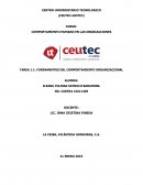 Fundamentos del comportamiento organizacional