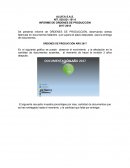 Informe empresa ALUICA S.A.S.